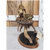 Image 4 : Baby Wild Hog Piglet Full Body Taxidermy Mount