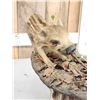 Image 7 : Baby Wild Hog Piglet Full Body Taxidermy Mount