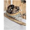 Image 7 : 2 Raccoon In A Birch Bark Canoe Taxidermy