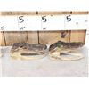 Image 2 : Collection Of 5 Taxidermy Alligator Heads