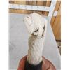 Image 8 : Hand Carved Antler Walking Stick Handle Artwork