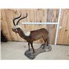 Image 6 : Rare Nile Lechwe Full Body Taxidermy Mount