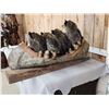 Image 8 : Family Of Raccoons Fishing In A Birch Bark Canoe Taxidermy