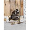 Image 1 : Raccoon In A Birch Bark Canoe Taxidermy
