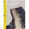 Image 5 : 90" Tanned Alligator Skin Taxidermy