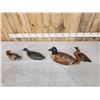 Image 6 : 4 Hand Carved Wooden Duck Decoys