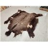 Image 1 : American Bison Buffalo Soft Tanned Robe Taxidermy