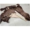 Image 2 : American Bison Buffalo Soft Tanned Robe Taxidermy