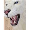 Image 5 : African White Lion Reproduction Shoulder Mount Taxidermy