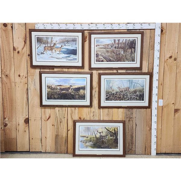 Ron Van Gilder World Record Whitetail Series Prints