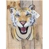 Image 2 : Bengal Tiger Reproduction Shoulder Mounts Taxidermy