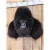 Image 2 : Reproduction Gorilla Shoulder Mount Taxidermy