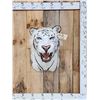 Image 1 : White Bengal Tiger Reproduction Shoulder Mount Taxidermy