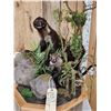 Image 2 : Mother & Baby Coatimundi Full Body Taxidermy Mount