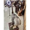 Image 8 : Juvenile Rhea Full Body Bird Taxidermy