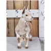 Image 2 : Baby Goat Full Body Taxidermy Mount