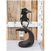 Image 1 : African Piping Hornbill Full Body Bird Taxidermy