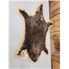 Image 1 : Porcupine Rug On Plaque Taxidermy