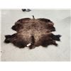 Image 1 : American Bison Buffalo Robe Taxidermy