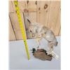 Image 8 : Baby Coyote Puppy Playing With A Feather Full Body Taxidermy Mount