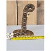Image 2 : Diamondback Rattlesnake Full Body Taxidermy Mount