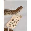 Image 6 : Diamondback Rattlesnake Full Body Taxidermy Mount