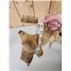 Image 13 : 260 Class Whitetail Antlers On Skull GIANT Droptine