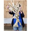 Image 7 : 260 Class Whitetail Antlers On Skull GIANT Droptine
