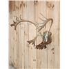 Image 5 : Nice Double Shovel Set Of Caribou Antlers On Plaque