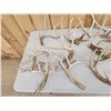 Image 5 : 28.7 Lbs Of Whitetail Shed Antlers