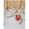 Image 7 : 25.3 Lbs Of Whitetail Shed Antlers