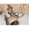 Image 15 : Historic Boone & Crockett Record Book Locked Whitetails Taxidermy Mount