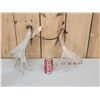 Image 4 : Cool Little Palmated Set Of Whitetail Shed Antlers