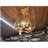 Image 2 : Whitetail Deer Antler Chandelier