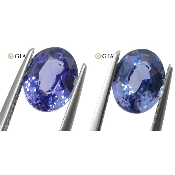 Majestic GIA Certified 2.50 Ct Natural Sapphire