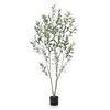 Image 1 : NEWLY ASSEMBLED SOGUYI 6FT ARTIFICIAL OLIVE TREE