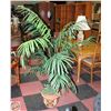 Image 1 : ARTIFICIAL PLANT 63" TALL