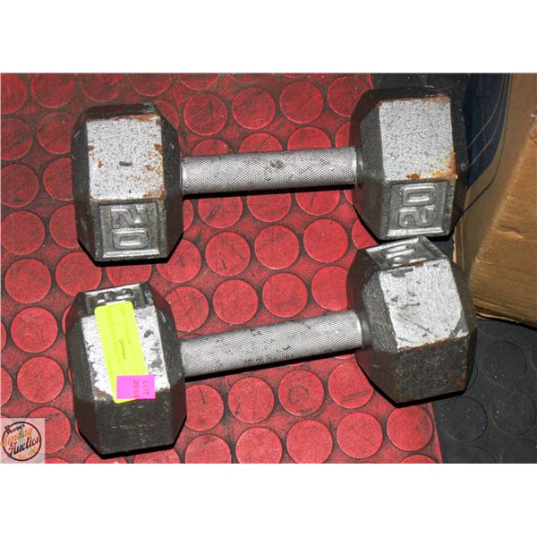 PAIR OF 20LB WEIGHTS