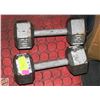 Image 1 : PAIR OF 20LB WEIGHTS