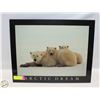 Image 1 : POLAR BEAR PHOTO WOODEN WALL HANGING