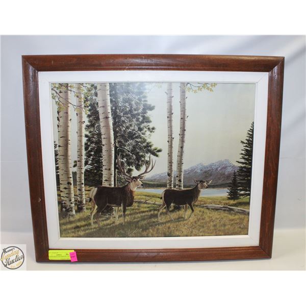 FRAMED PRINT TWO DEER 20” x 24”