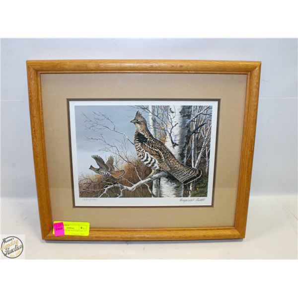 FRAMED PRINT RUFFED GROUSE 12” x 15”