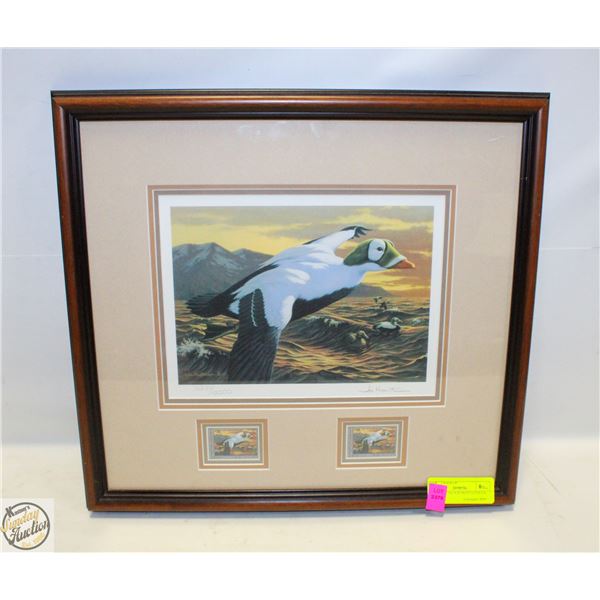 FRAMED COLOUR PRINT US DUCK STAMP