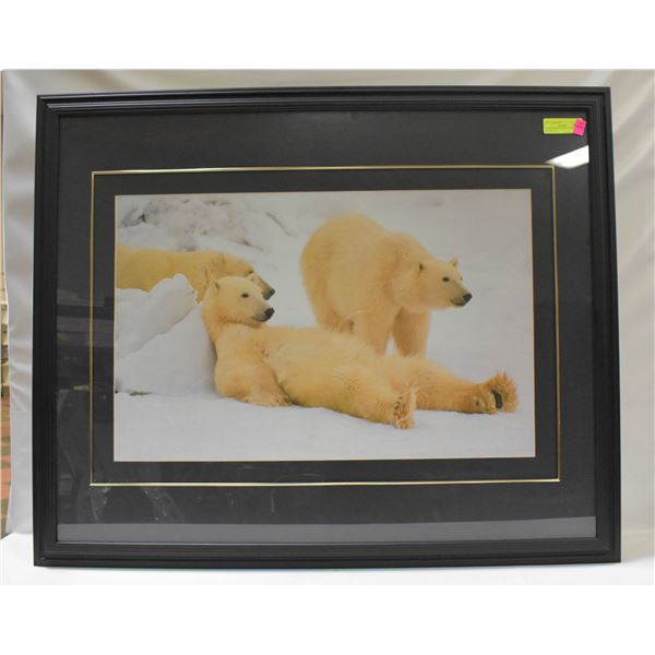 LARGE PROFESSIONALLY FRAMED POLAR BEAR