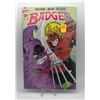 Image 1 : 1989 FIRST COMICS THE BADGER #51