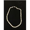 Image 5 : 16" & 2 X 8" Genuine Fresh Water Pearl Necklace & Bracelets