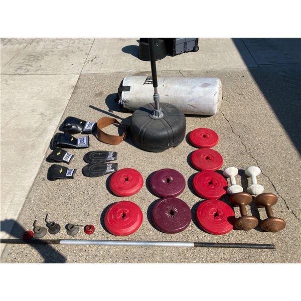 WEIGHT AND BOXING SET