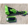 Image 3 : GREENWORKS CORDLESS TREE SAW