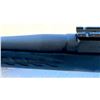 Image 7 : RUGER AMERICAN; 270 WIN CARTRIDGE RIFLE (INTERNAL REFERENCE: IOC)