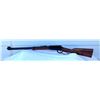 Image 2 : HENRY H001M .22 WMR RIFLE